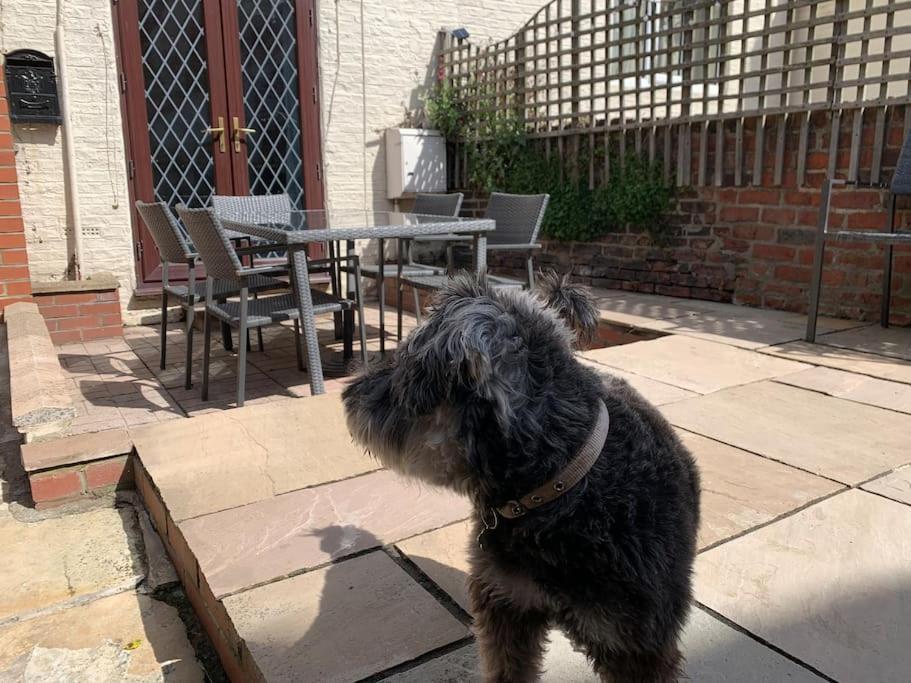 Award Winning Pet Friendly Paddock Cottage Whitby Exterior foto